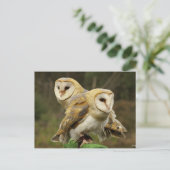 Eule Postkarte (Stehend Vorderseite)