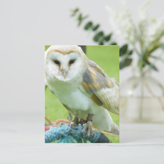 Eule Postkarte (Stehend Vorderseite)
