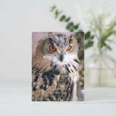 eule postkarte (Stehend Vorderseite)