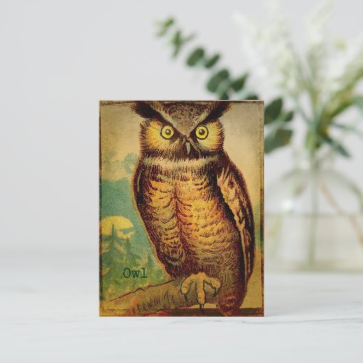 Eule Postkarte (Stehend Vorderseite)