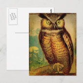 Eule Postkarte (Vorne/Hinten)