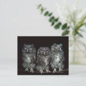 Eule Postkarte (Stehend Vorderseite)