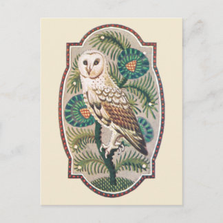 Eule Postkarte
