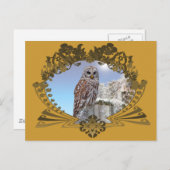Eule Postkarte (Vorne/Hinten)