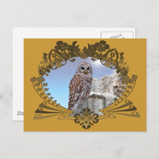 Eule Postkarte (Vorne/Hinten)