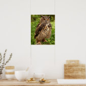 Eule Print/Poster Poster (Küche)