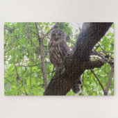 Eule Puzzle (Horizontal)