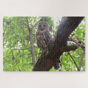 Eule Puzzle