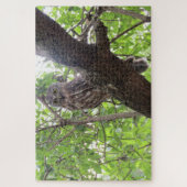 Eule Puzzle (Vertikal)