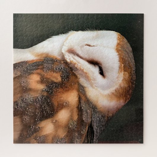 EULE PUZZLE (Horizontal)