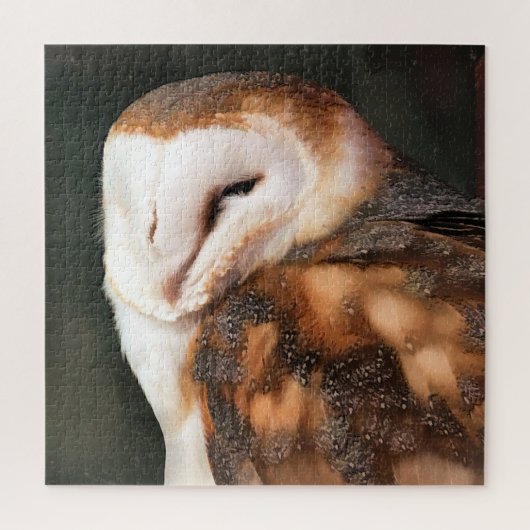 EULE PUZZLE (Vertikal)