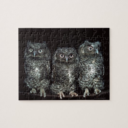 Eule Puzzle (Horizontal)