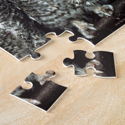 Eule Puzzle (Seite)