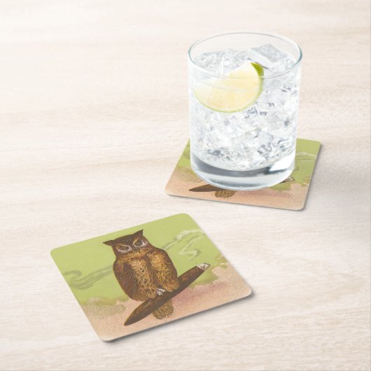 Eule Rechteckiger Pappuntersetzer (Vor Ort)