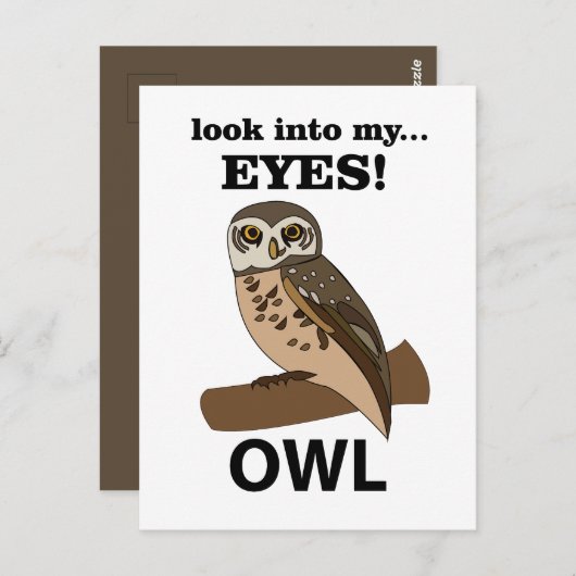 Eule schaut in meine Augen Postkarte (Vorne/Hinten)
