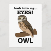 Eule schaut in meine Augen Postkarte (Vorderseite)