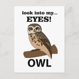 Eule schaut in meine Augen Postkarte