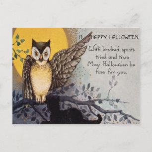 Eule schwarze Katze Vollmond Baum Nacht Postkarte