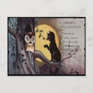 Eule schwarze Katze Vollmond Baum Nacht Postkarte