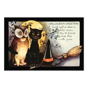 Eule schwarze Katze Vollmond Hexenhut Fotodruck