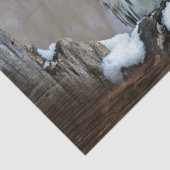 Eule Seidenpapier (Detail)