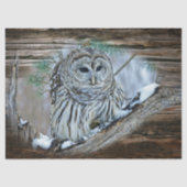 Eule Seidenpapier (Vorderseite)