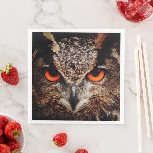 Eule Serviette (Beispiel)