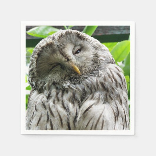 EULE SERVIETTE (Vorderseite)