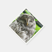 EULE SERVIETTE (Ecke)