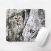 Eule, Tarnung, wild lebende Tiere Mousepad (Mit Mouse)