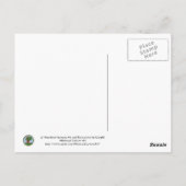 Eule und ein Eichenbaum Whimsikaler Cartoon Kunst Postkarte (Rückseite)