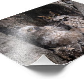 Eule und Kuchen Fotodruck (Ecke)