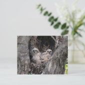 Eule und Kuchen Postkarte (Stehend Vorderseite)