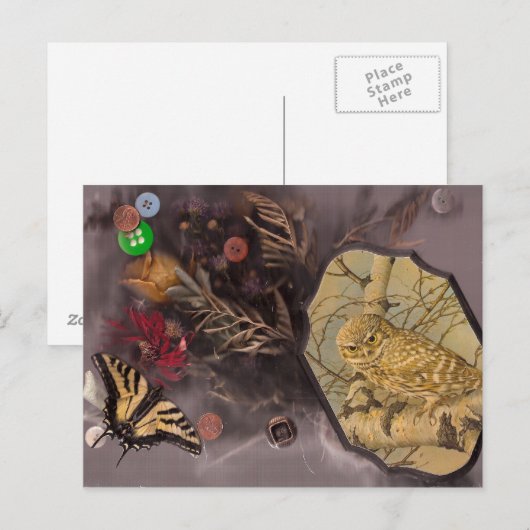 Eule und Schmetterling Postkarte (Vorne/Hinten)