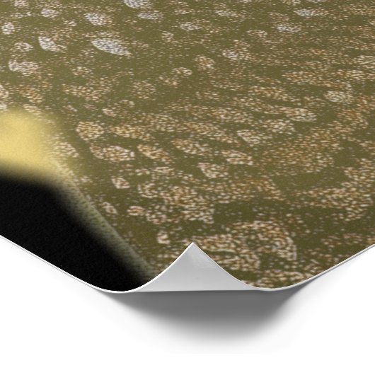 Eule und Vollmond Poster (Ecke)