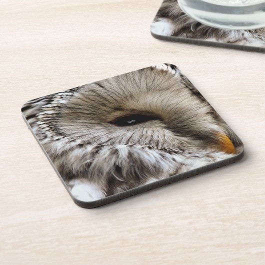 EULE UNTERSETZER (Linke Seite)