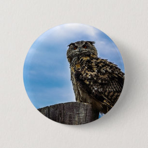 Eule Vogel Federn Tier Natur Schicksal Frieden Lie Button