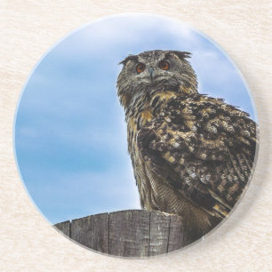 Eule Vogel Federn Tier Natur Schicksal Frieden Lie Getränkeuntersetzer