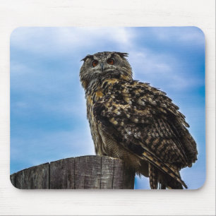 Eule Vogel Federn Tier Natur Schicksal Frieden Lie Mousepad