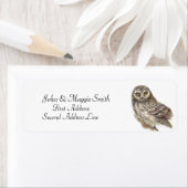 Eule, Vogelsammlung (Insitu)