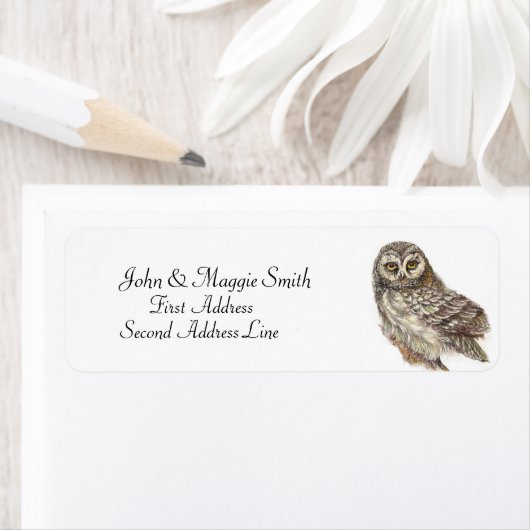 Eule, Vogelsammlung (Insitu)