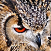 EULE WANDTEPPICH MIT HOLZRAHMEN