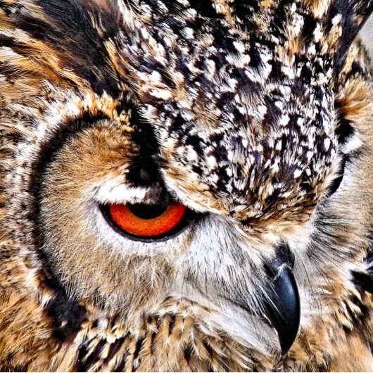 EULE WANDTEPPICH MIT HOLZRAHMEN