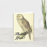Eule wie Vogel, "Danke!", Vintager Stil