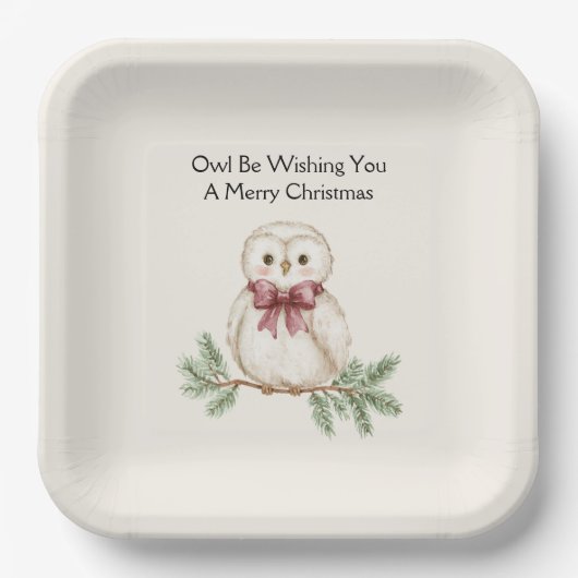Eule wünscht Weihnachten Pappteller (Vorderseite)