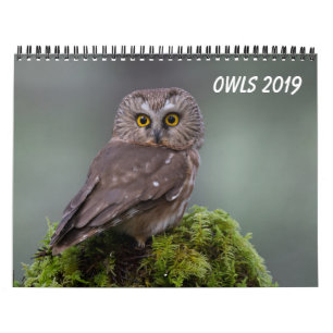 Eulen 2019 kalender