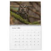 Eulen 2019 kalender (Jan 2026)