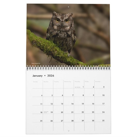 Eulen 2019 kalender (Jan 2026)