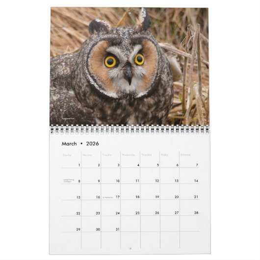 Eulen 2019 kalender (Mär 2026)