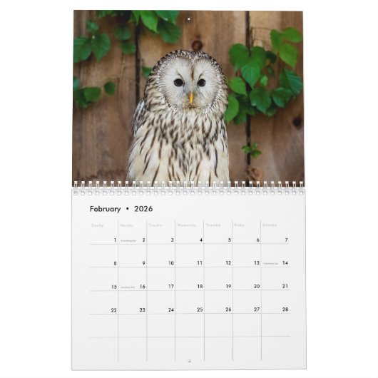 Eulen 2026 kalender (Feb 2026)